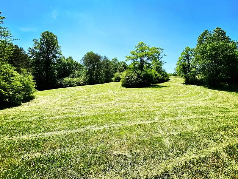 Local lawn care service in Edmond, OK by Thompson Outdoors