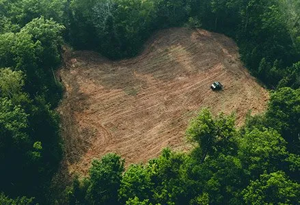 Reliable lawn mowing service in Edmond, OK by Thompson Outdoors