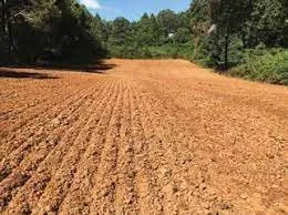 Trusted yard maintenance experts serving Edmond, OK - Thompson Outdoors