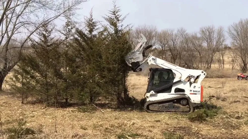 Professional garden landscaping in Edmond, OK by Thompson Outdoors