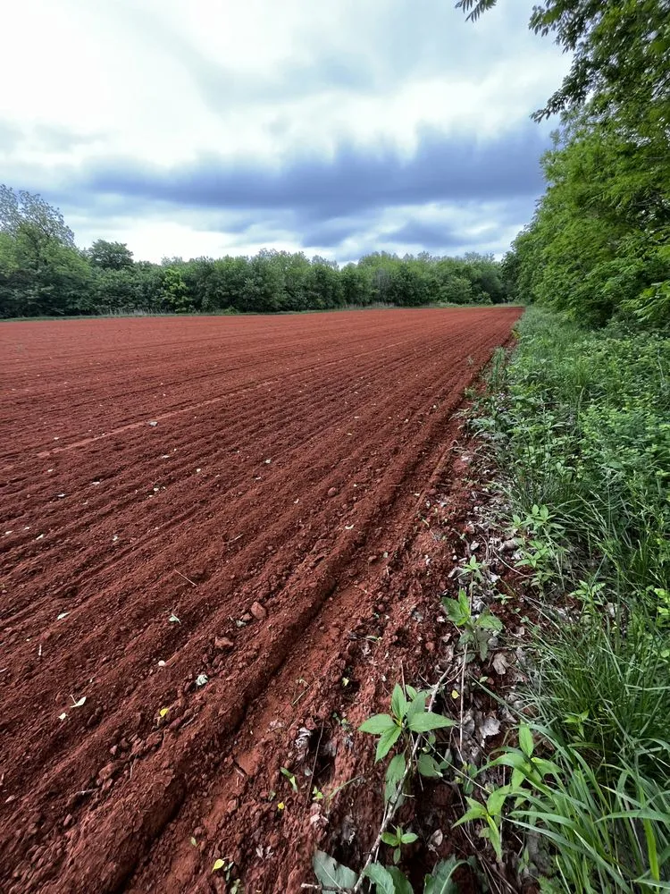 Reliable garden landscaping in Edmond, OK - Thompson Outdoors