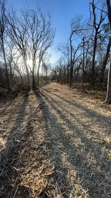 Thompson Outdoors Logo