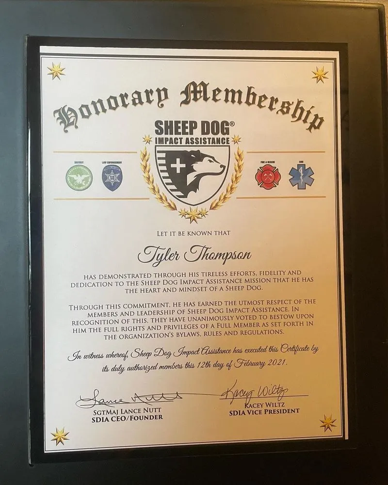 Top-rated lawn care service experts serving Bella Vista, AR - Thompson Projects and Productions