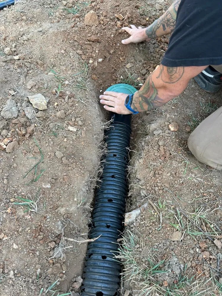 Top-rated lawn care service in Bella Vista, AR by Thompson Projects and Productions