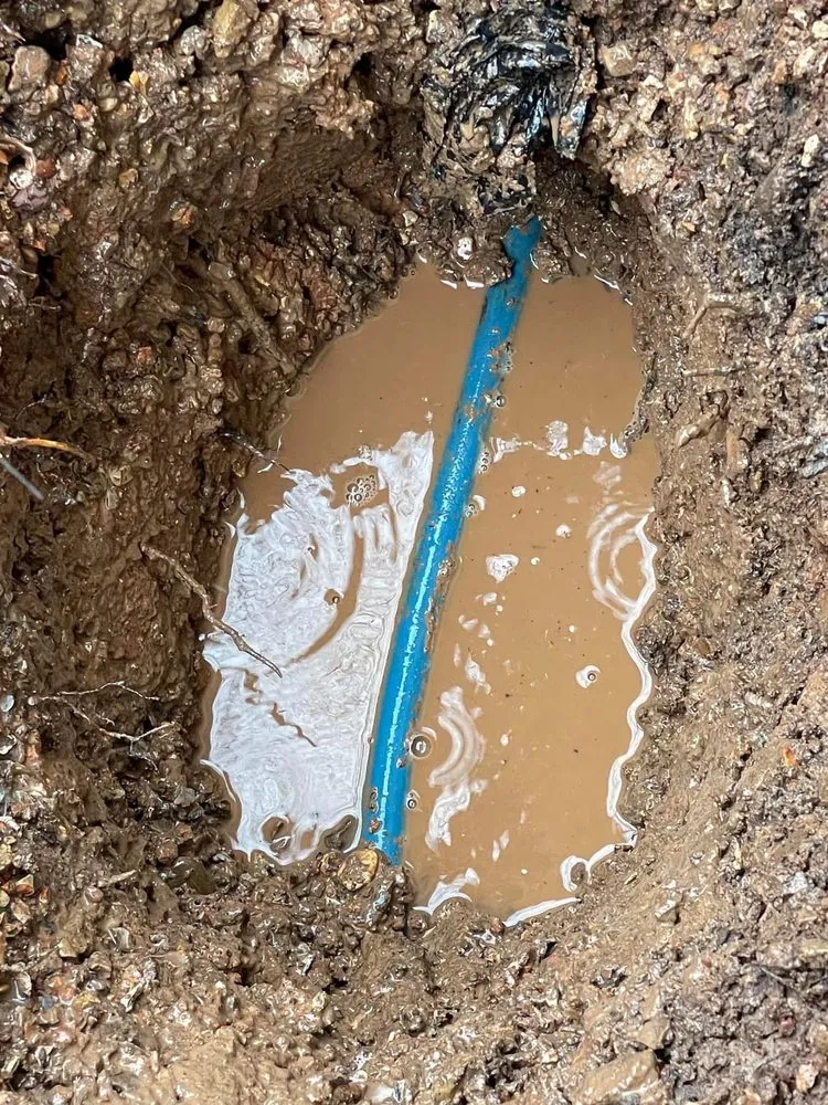 Local residential landscaping in Bella Vista, AR by Thompson Projects and Productions