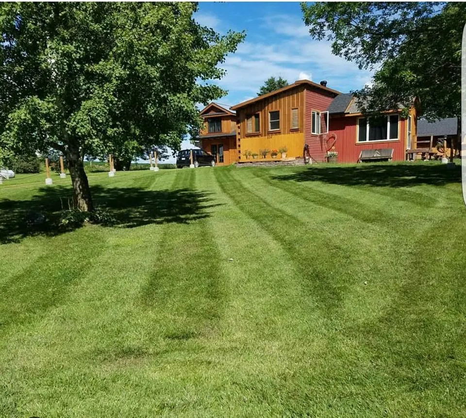 Top-rated yard cleanup service in Fergus Falls, MN by Thompson Property Maintenance