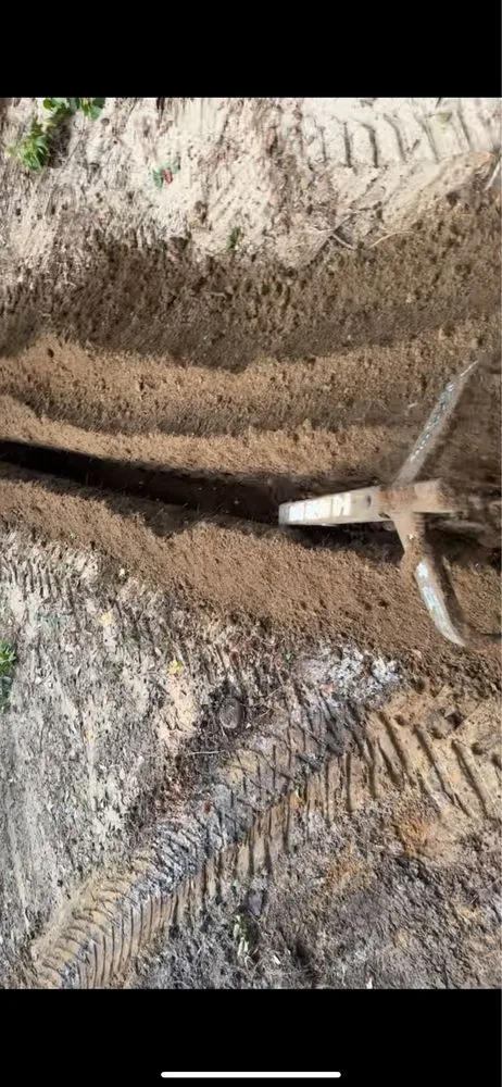 Professional landscaping services for beautiful yards across Hemingway, SC - Thompson Property Services