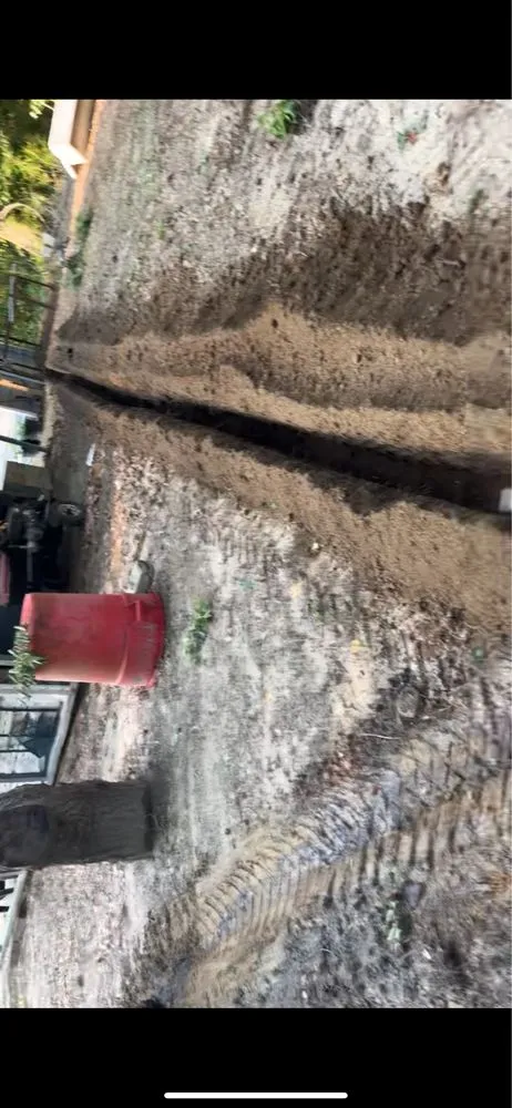 Affordable yard cleanup service experts serving Hemingway, SC - Thompson Property Services