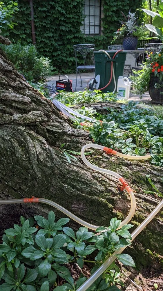 Top-rated yard maintenance in Schaumburg, IL by Thompson Tree Care & Consulting