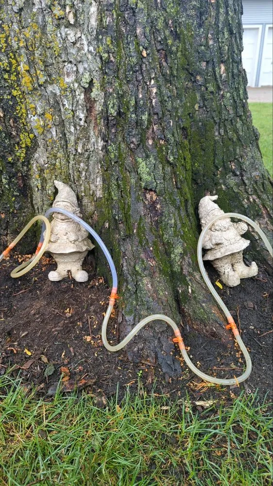 Custom landscape design in Schaumburg, IL by Thompson Tree Care & Consulting