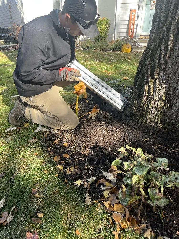 Reliable residential landscaping for homes in Schaumburg, IL by Thompson Tree Care & Consulting