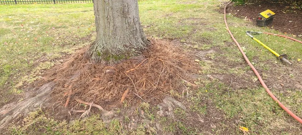 Custom landscape installation for homes in Schaumburg, IL by Thompson Tree Care & Consulting