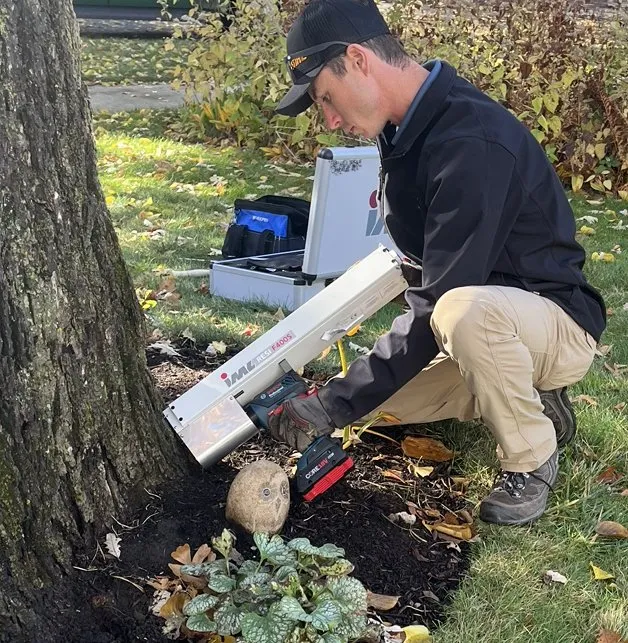 Local landscape installation experts serving Schaumburg, IL - Thompson Tree Care & Consulting