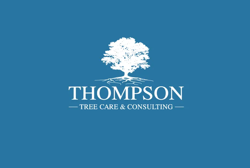 Top-rated landscaping services experts serving Schaumburg, IL - Thompson Tree Care & Consulting