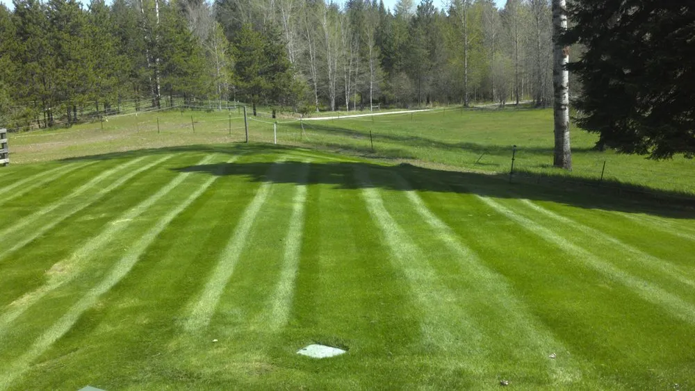 Expert yard cleanup service in Sandpoint, ID by Thompson Turf Services
