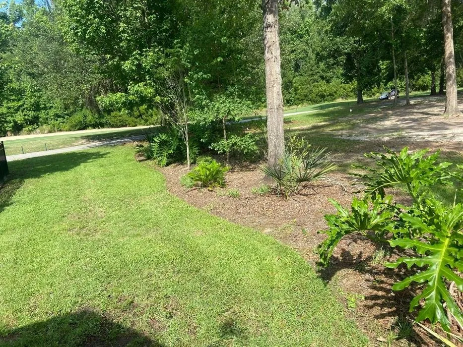 Top-rated garden landscaping in Ellabell, GA - Thompson Yards