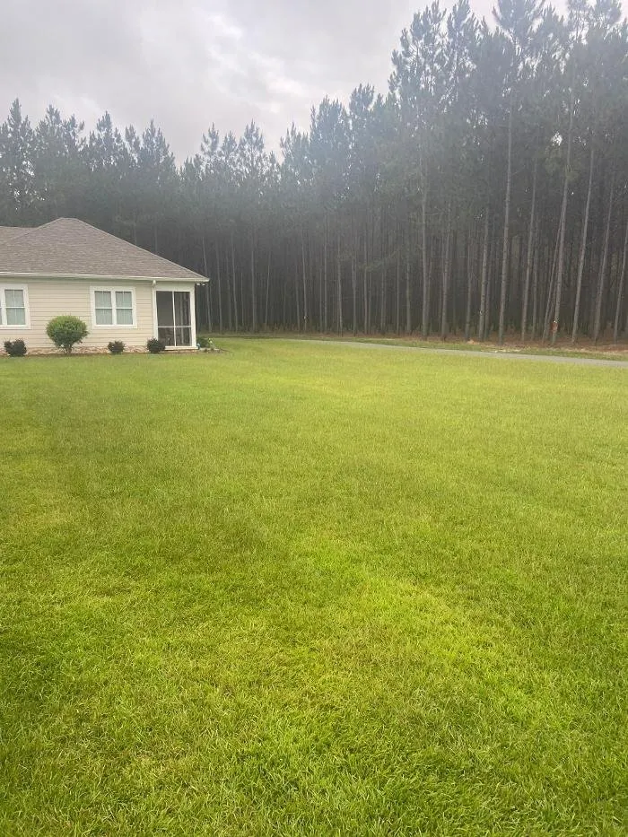 Expert landscape installation experts serving Ellabell, GA - Thompson Yards