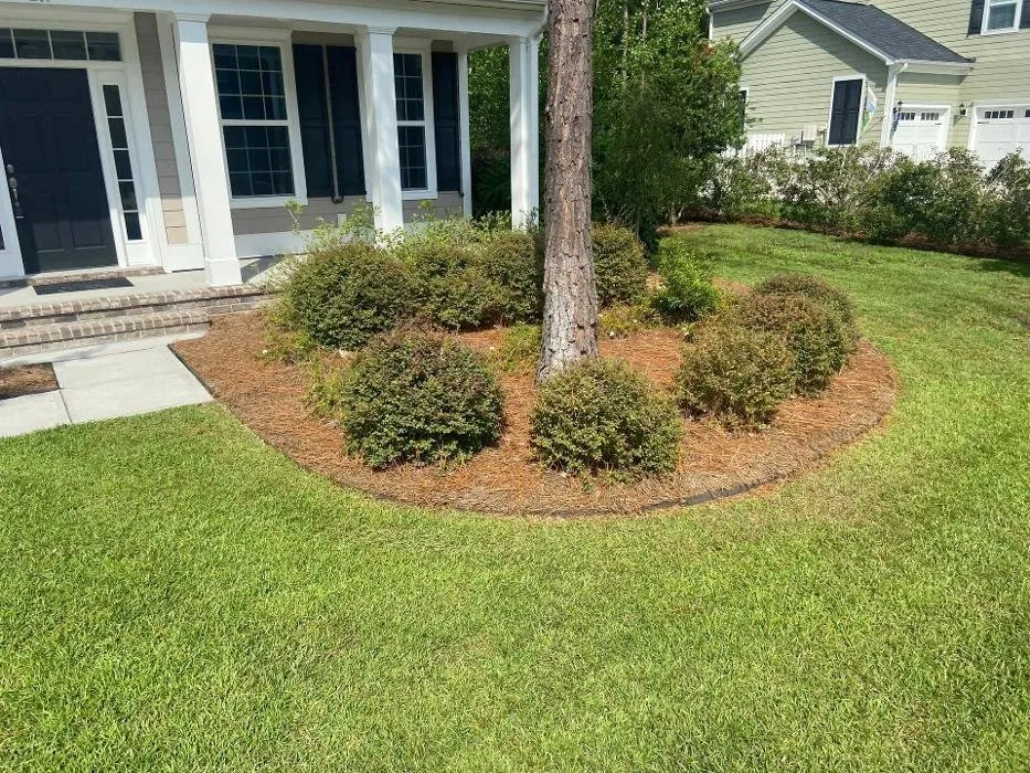Reliable yard cleanup service experts serving Ellabell, GA - Thompson Yards