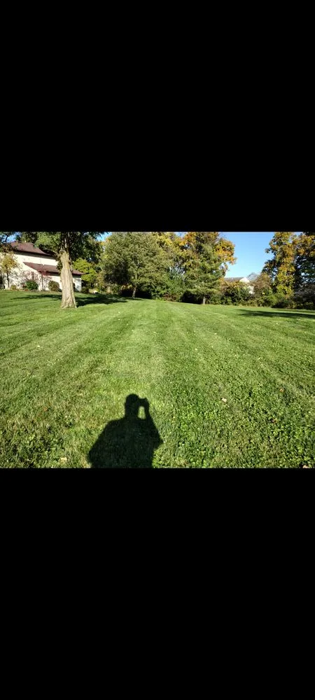 Reliable yard cleanup service near you across Fort Wayne, IN - Thompsons landscape