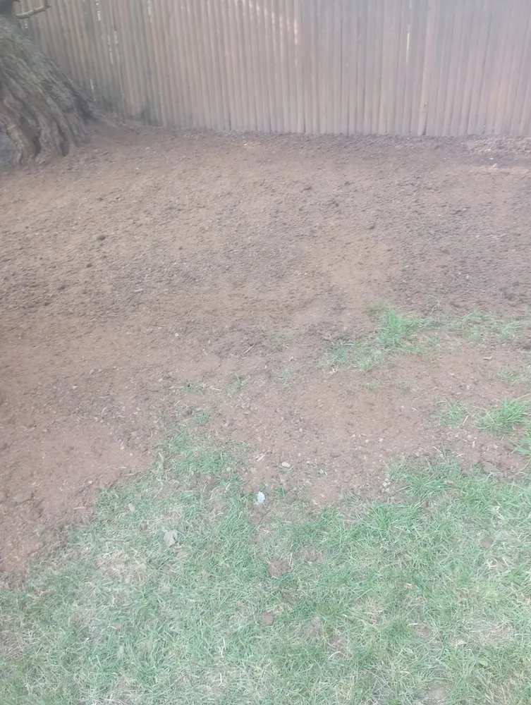 Custom yard cleanup service in Buffalo, NY - Thompson's landscaping