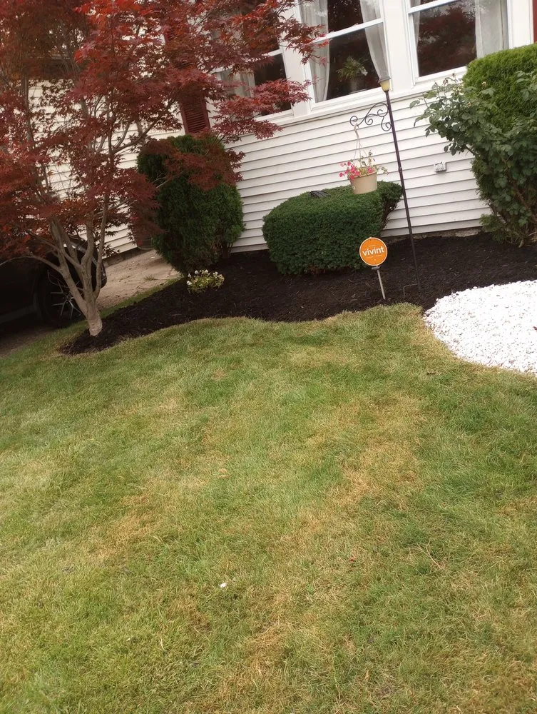 Trusted landscape installation in Buffalo, NY - Thompson's landscaping