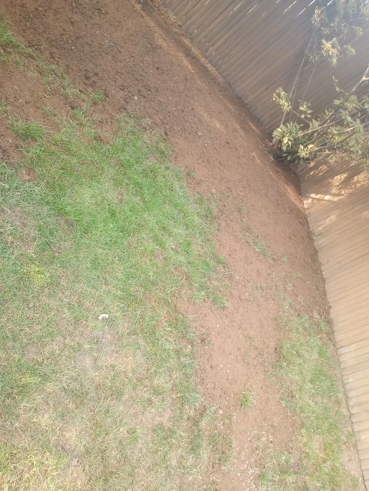 Local outdoor landscaping experts serving Buffalo, NY - Thompson's landscaping