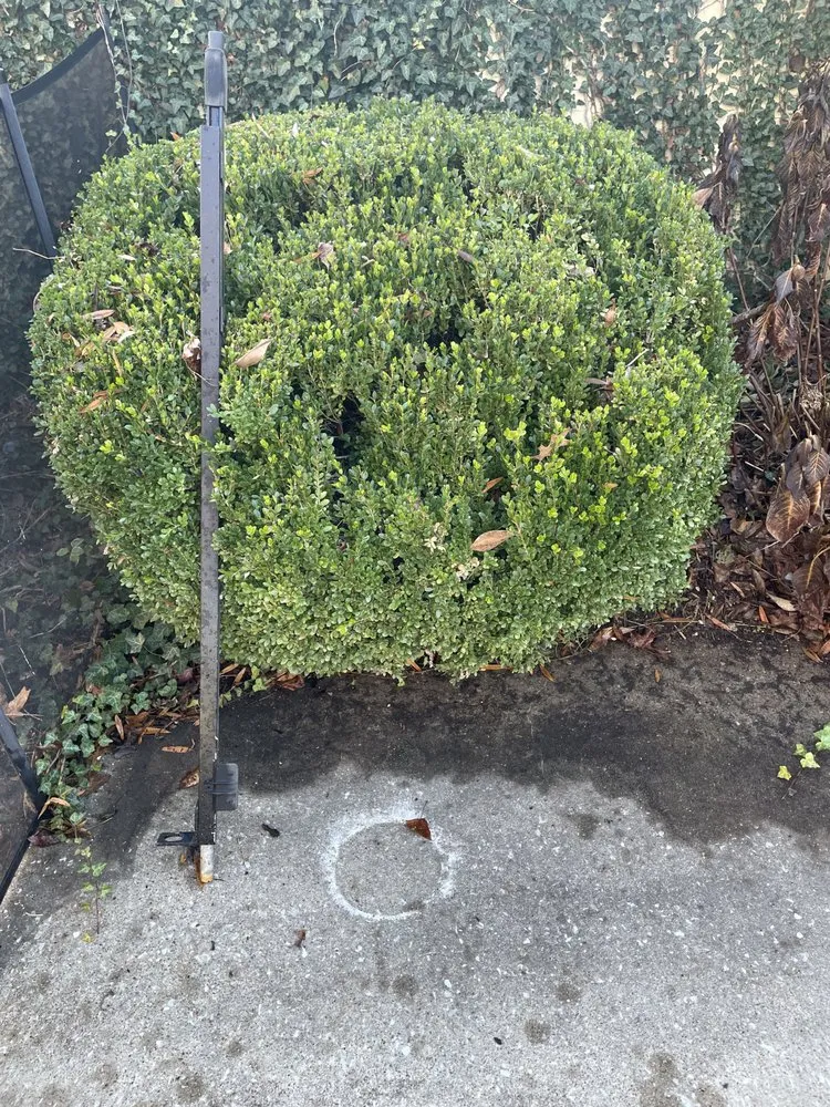 Professional yard maintenance for beautiful yards in Russellville, KY by Thompsons Landscaping