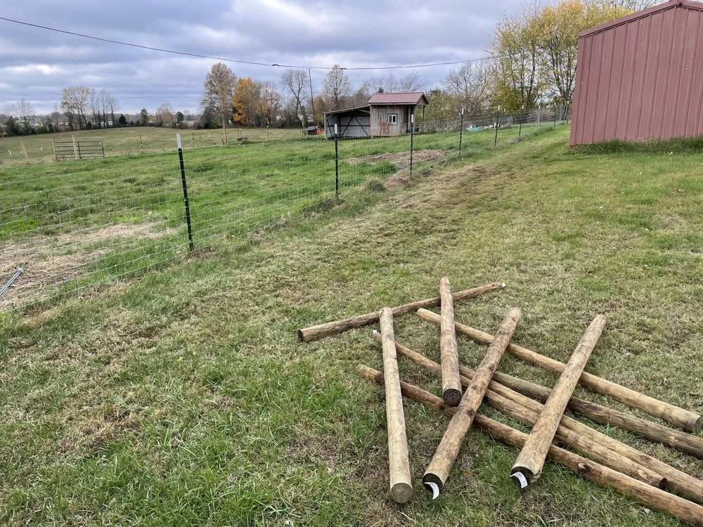 Affordable yard cleanup service in Russellville, KY - Thompsons Landscaping