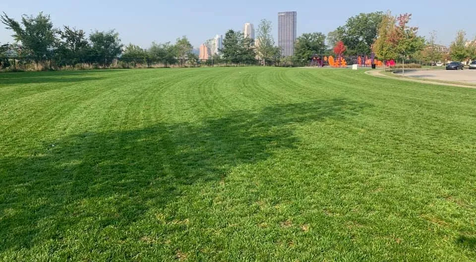 Affordable garden landscaping in McKees Rocks, PA by Thompson’s Lawn Care & Gardening Service