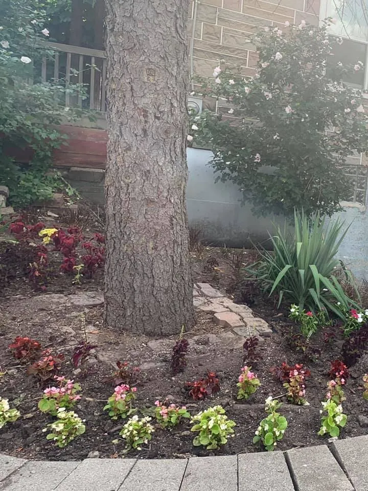 Expert landscape installation experts serving McKees Rocks, PA - Thompson’s Lawn Care & Gardening Service