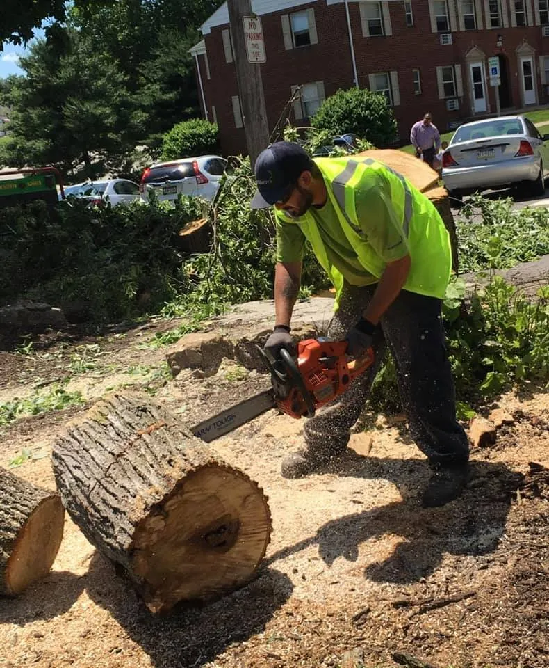 Reliable outdoor landscaping experts serving McKees Rocks, PA - Thompson’s Lawn Care & Gardening Service