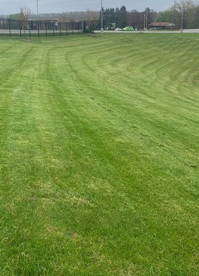 Professional outdoor landscaping in McKees Rocks, PA - Thompson’s Lawn Care & Gardening Service