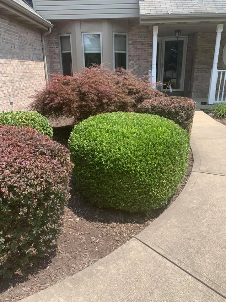 Professional yard maintenance for residential properties across McKees Rocks, PA - Thompson’s Lawn Care & Gardening Service