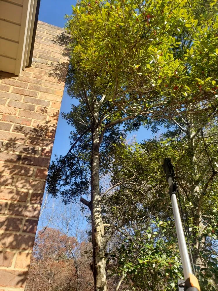 Affordable outdoor landscaping for homes across Cleveland, TN - Thompsons Lawn Care