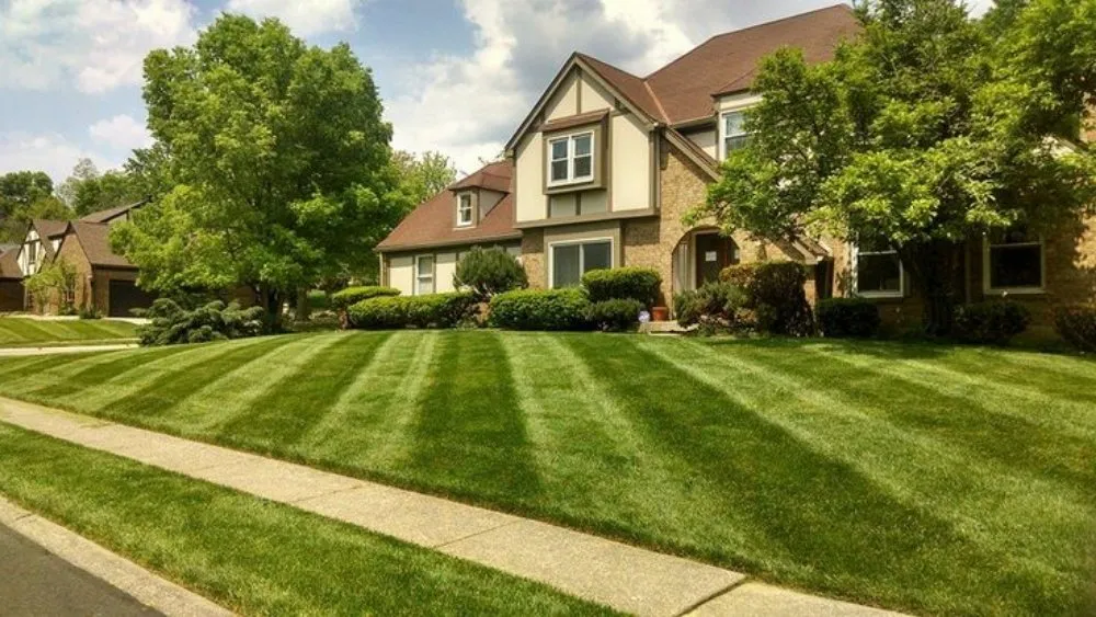 Custom landscape design in Cleveland, TN by Thompsons Lawn Care