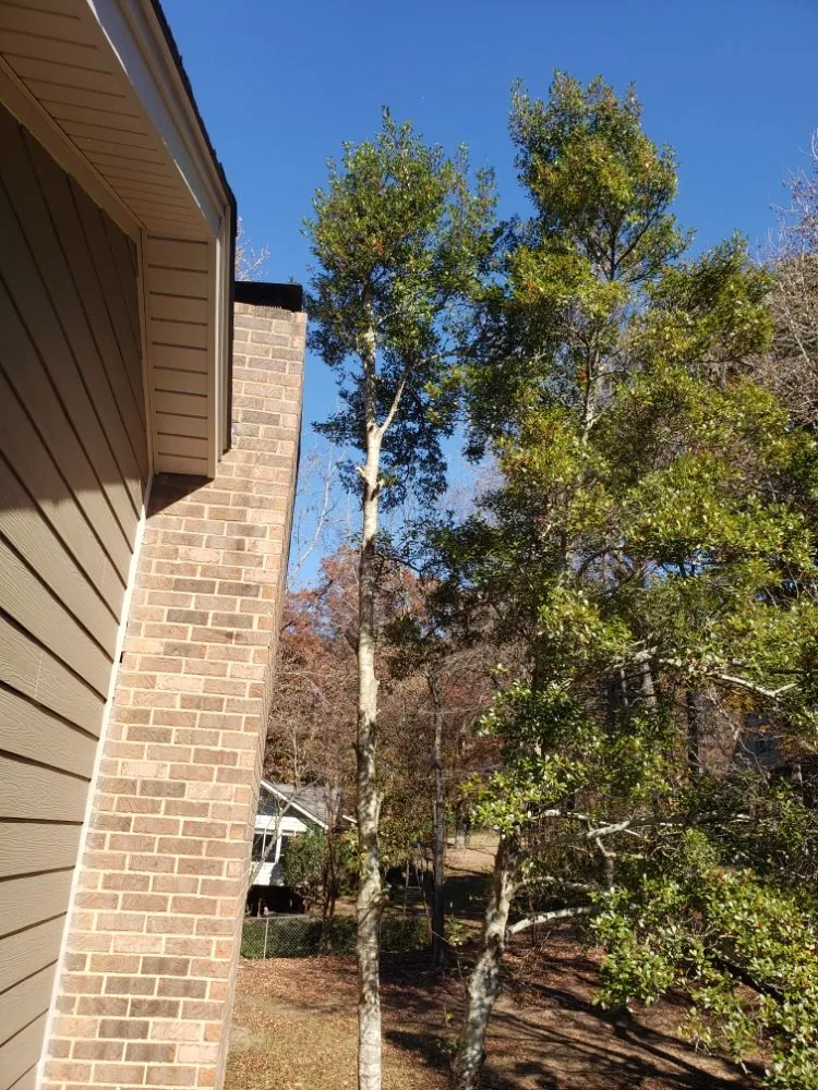 Professional yard maintenance for homes across Cleveland, TN - Thompsons Lawn Care