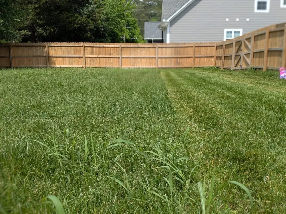 Top-rated lawn mowing service in Cleveland, TN by Thompsons Lawn Care