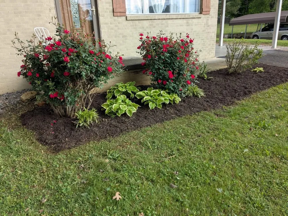 Professional lawn mowing service in Cleveland, TN - Thompsons Lawn Care