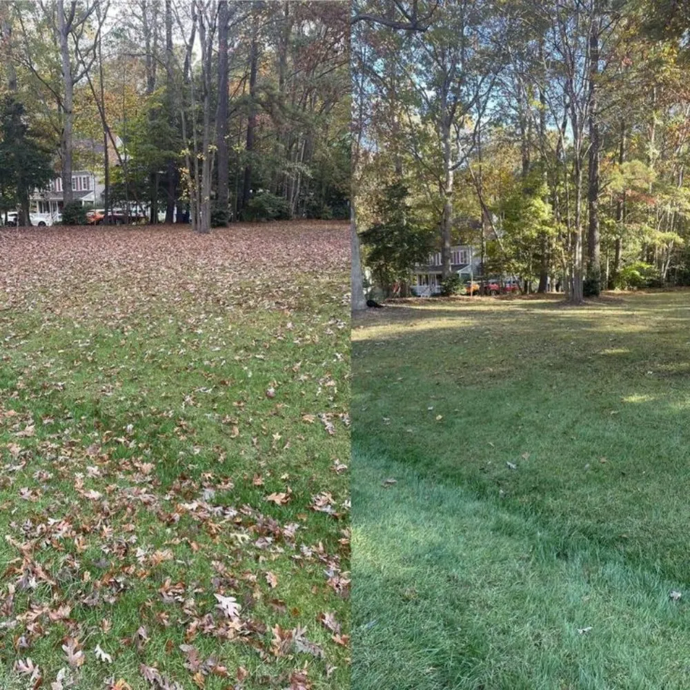 Affordable landscape installation for beautiful yards across Cleveland, TN - Thompsons Lawn Care