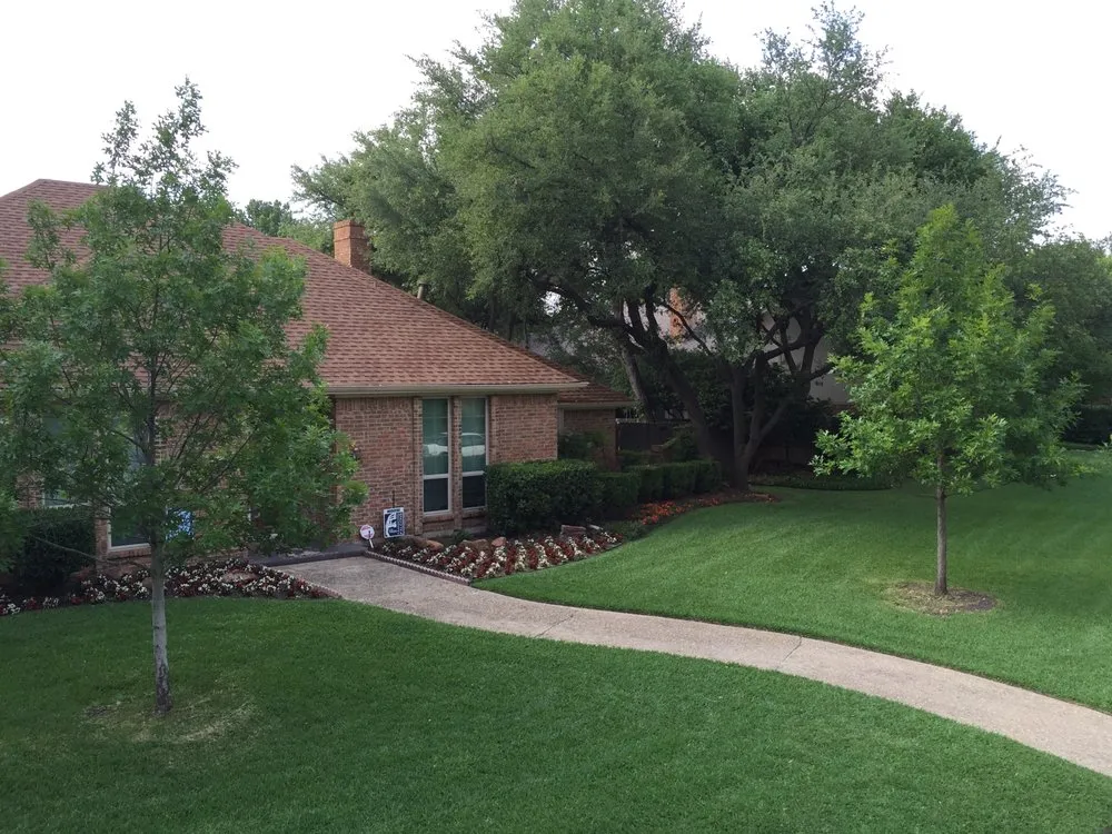 Reliable yard cleanup service in Dallas, TX - Thompson's Lawn Care