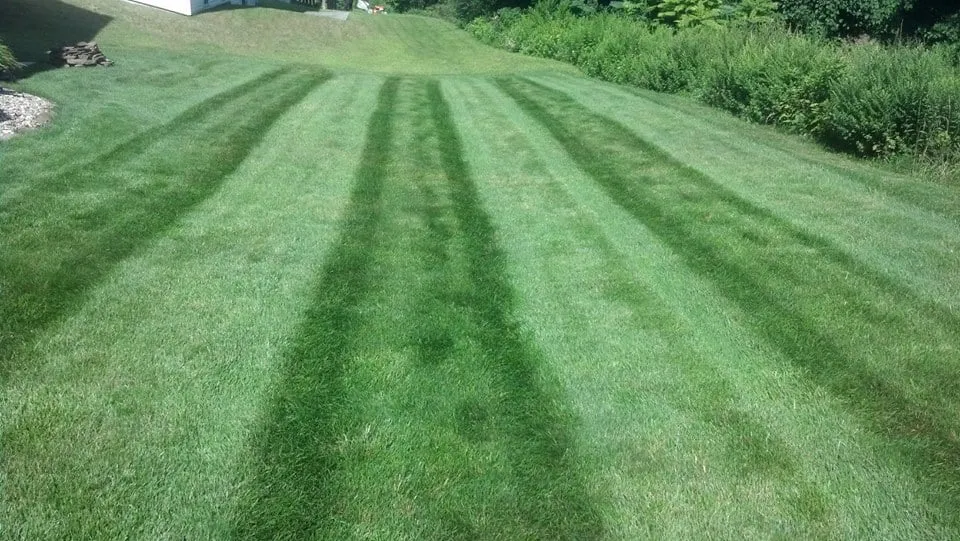 Expert lawn mowing service in Middletown, PA by Thompson's Lawn Care