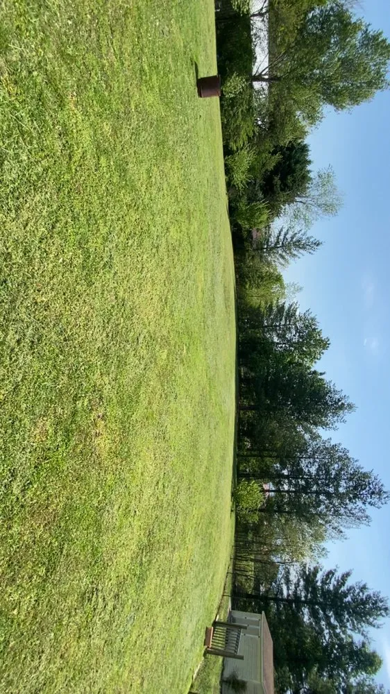 Expert yard maintenance experts serving Newport, TN - Thompson’s Lawn Care