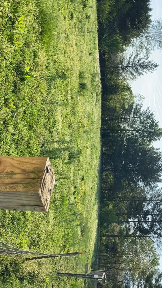 Custom lawn care service in Newport, TN by Thompson’s Lawn Care