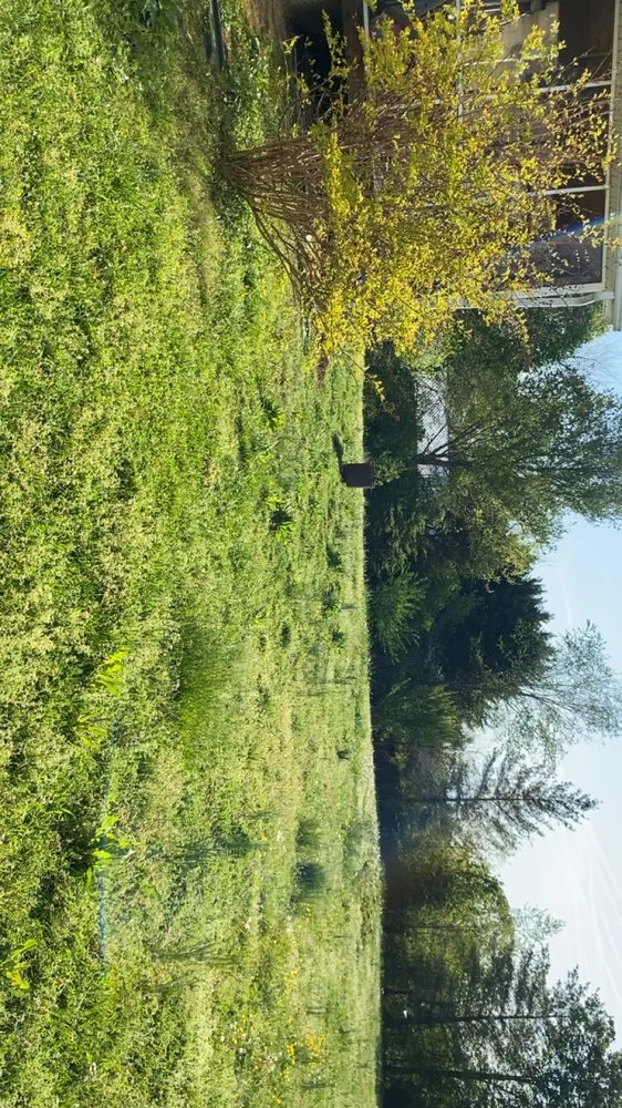 Professional landscaping services in Newport, TN by Thompson’s Lawn Care