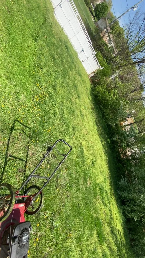 Reliable lawn mowing service for beautiful yards across Newport, TN - Thompson’s Lawn Care