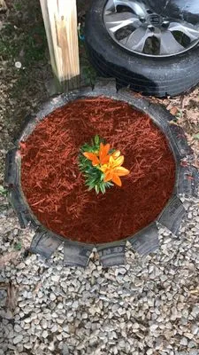 Thompson’s Lawn Care Logo