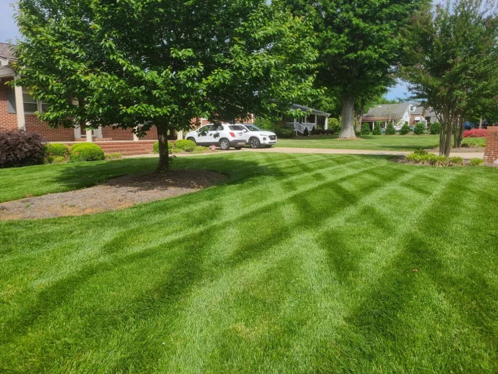 Top-rated landscaping services in Reidsville, NC - Thompson's Lawn Maintenance