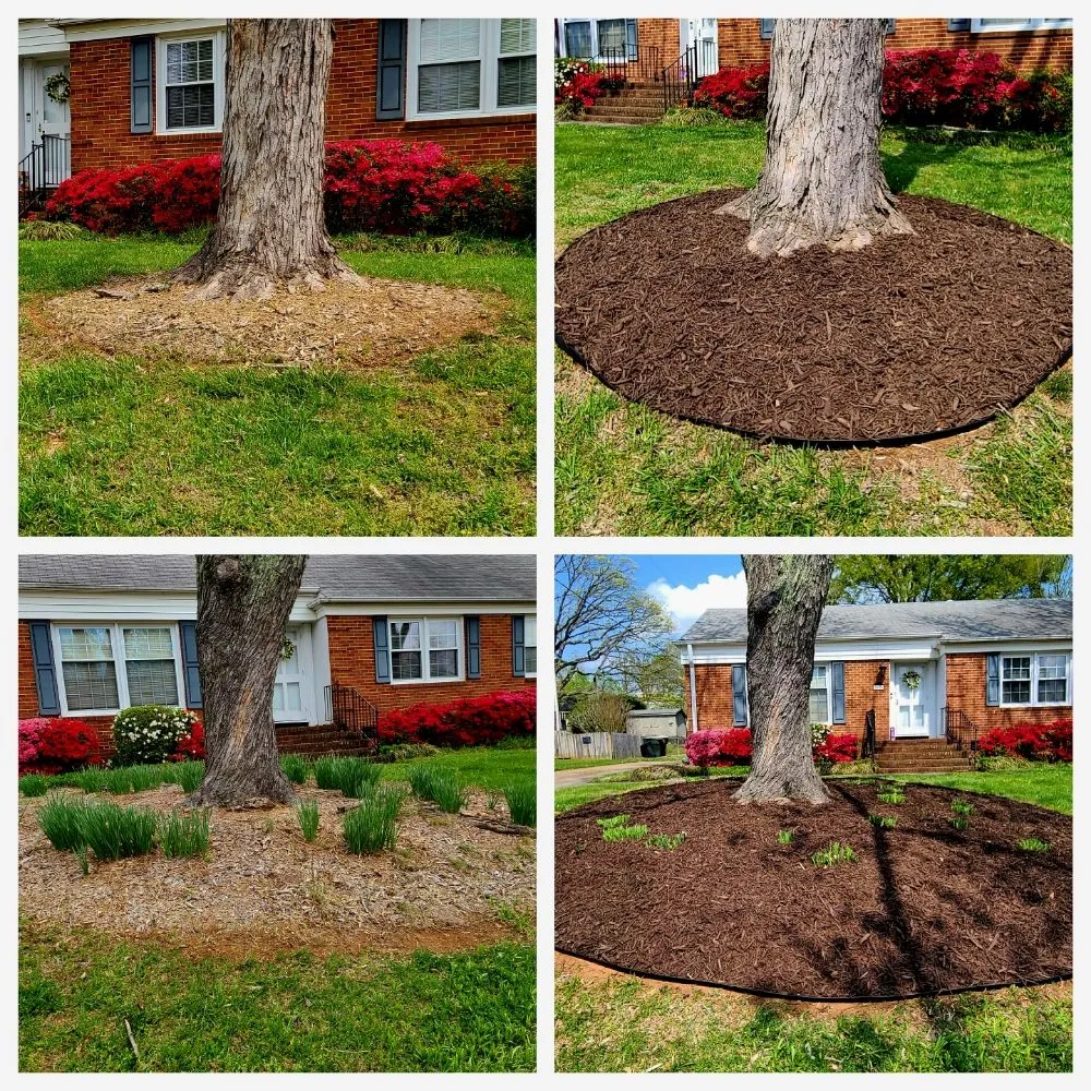Reliable landscaping services in Reidsville, NC by Thompson's Lawn Maintenance