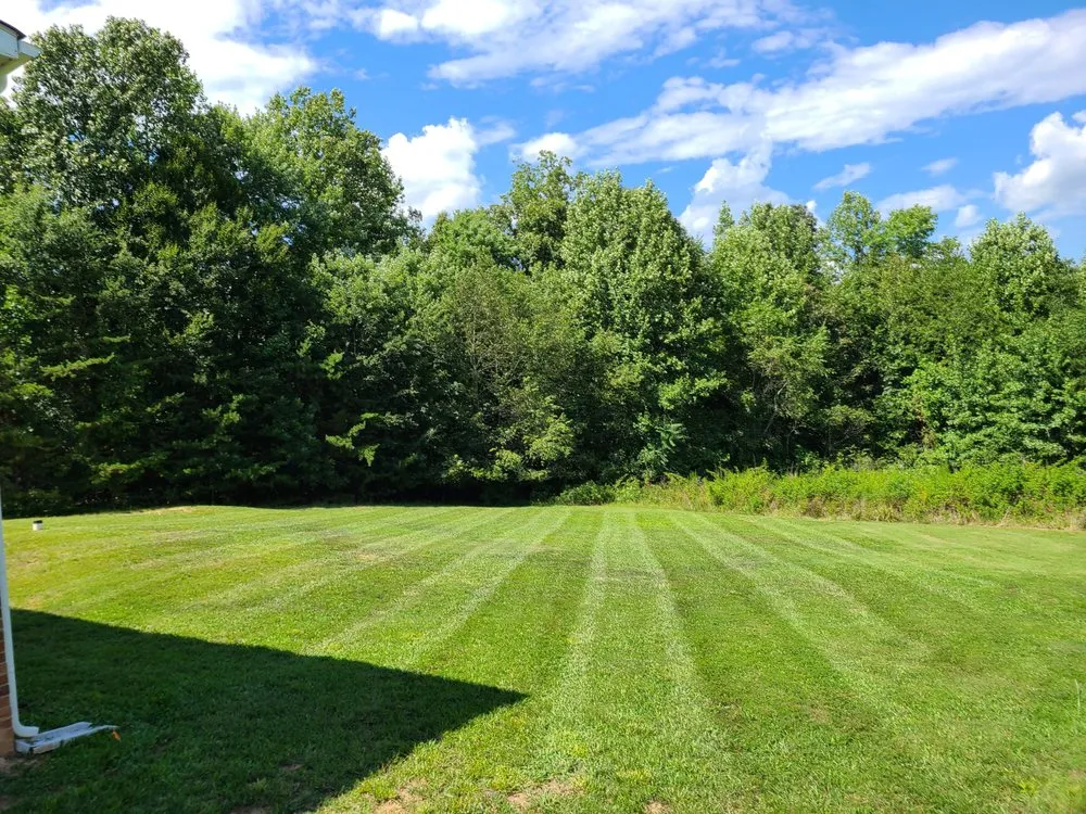 Expert yard cleanup service for outdoor upgrades in Reidsville, NC by Thompson's Lawn Maintenance