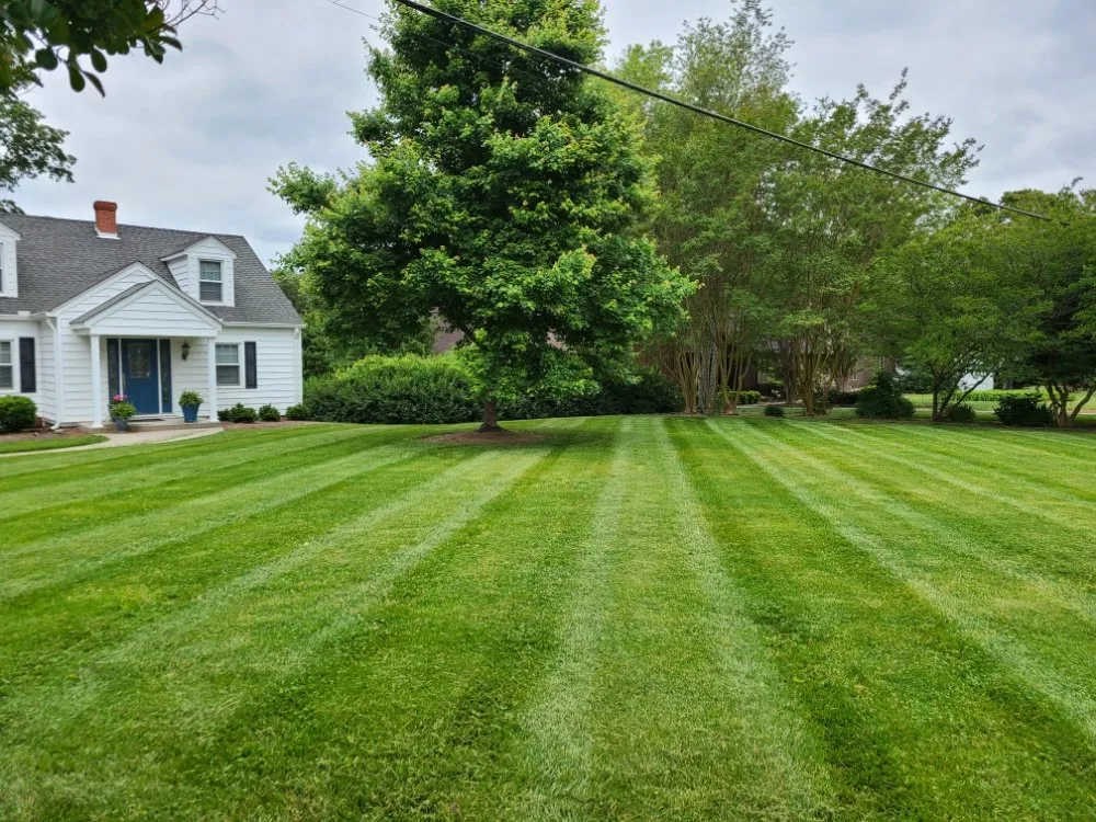 Reliable lawn mowing service near you in Reidsville, NC by Thompson's Lawn Maintenance